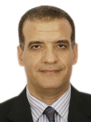 Ibrahim Hamouda Elsebaie Morsy